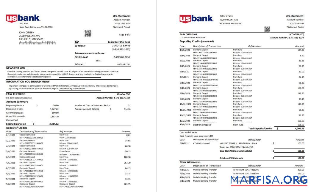 Printable USA U.S. bank statement word (3 pages) example